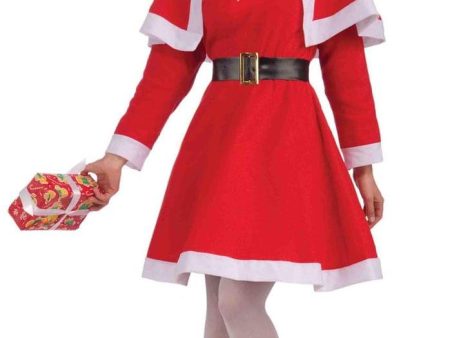 Mrs. Santa Claus Adult Female Christmas Costume on Sale